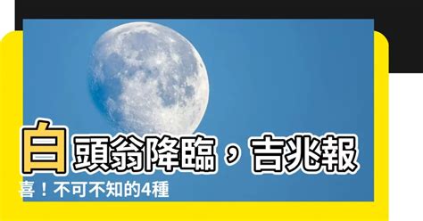 白頭翁預兆|【白頭翁 來家裡代表什麼】白頭翁光臨！家中迎喜，驚喜預兆大。